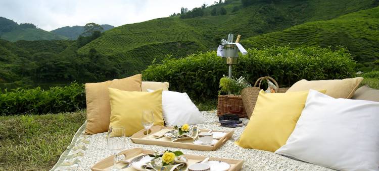 金马仑高原度假村- 全球奢华精品酒店(Cameron Highlands Resort - Small Luxury Hotels of the World)图片
