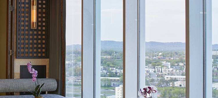 纳什维尔威斯汀酒店(The Westin Nashville)图片