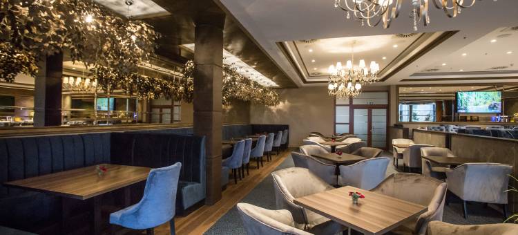 维尔纽斯公园广场(Vilnius Park Plaza Hotel, Restaurant & Terrace, Panorama Bar, Conference & Banquet Center)图片