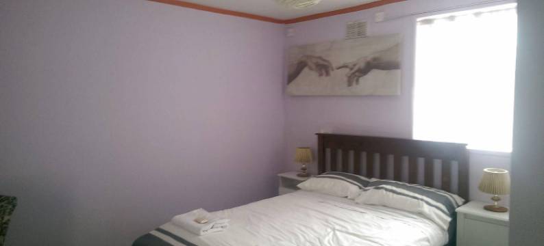 常青住宿加早餐旅馆(Evergreen House)图片