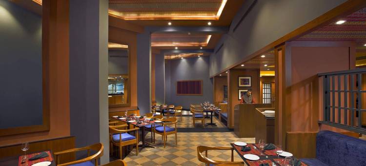 马拉里斯特尔灵酒店(Sterling Manali)图片