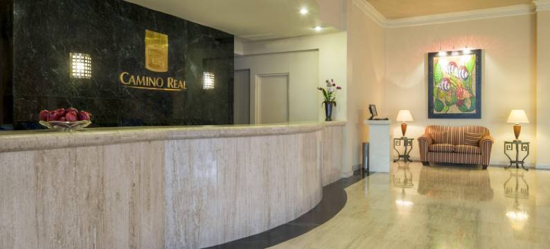 HS HOTSSON 坦皮科酒店(HS Hotsson Hotel Tampico)图片