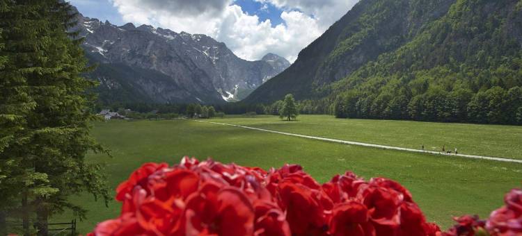 洛加尔山谷普莱斯尼克酒店(Hotel Plesnik Logar Valley)图片