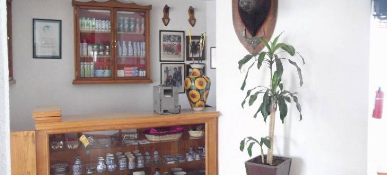 拉波萨达酒店(Hotel la Posada)图片