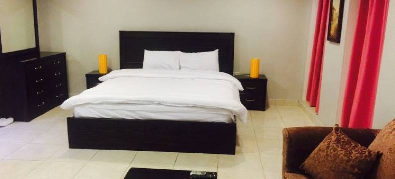 阿尔阿米尔皇宫酒店(Al-Amer Palace Hotel)图片