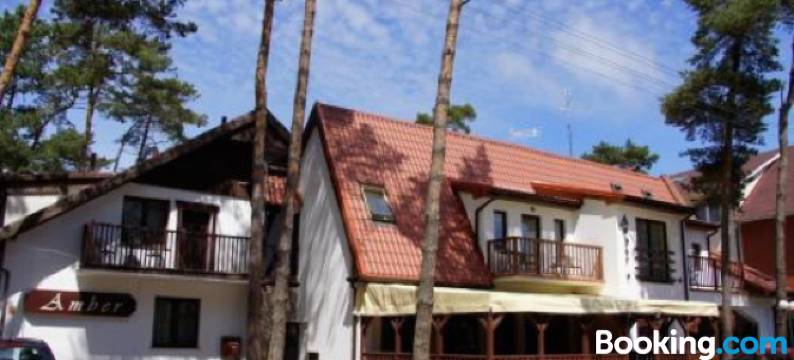 琥珀膳食旅馆(Pensjonat Amber)图片