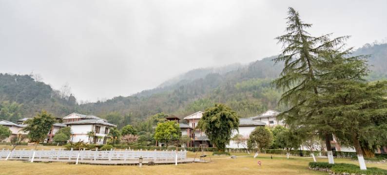 大邑樱花宾馆图片