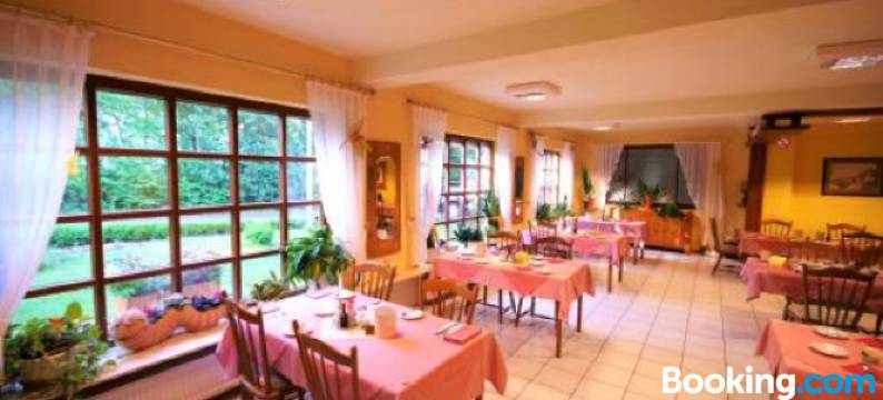 维德纳酒店(Hotel Weidenau)图片