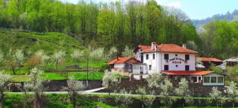 Guest House Ivan图片