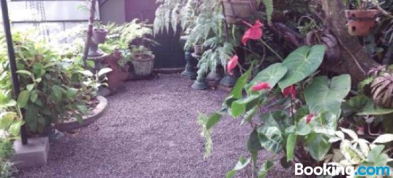 Number 01 by Taprobane图片