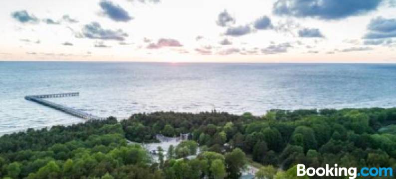 Melt in Palanga Self Check-IN图片