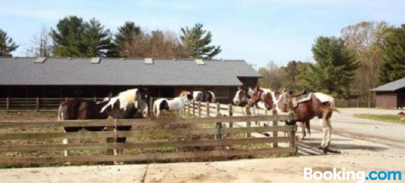 峡谷酒店(Canyon Inn)图片