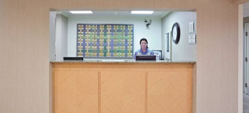 曼斯费尔德拉昆塔温德姆套房酒店(La Quinta Inn & Suites by Wyndham Mansfield Oh)图片