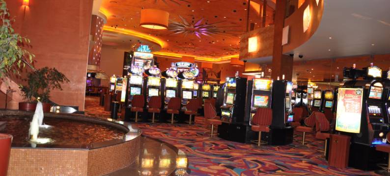 卡拉马 MDS 酒店(DoubleTree by Hilton Hotel Calama)图片