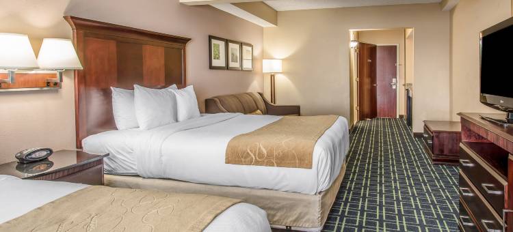 康福特套房索格拉斯(Comfort Suites Sawgrass)图片