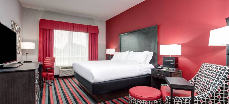 假日套房酒店-拉斐特北(Holiday Inn & Suites Lafayette North)图片