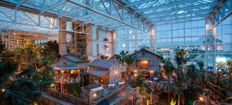 盖洛德棕榈水疗度假酒店(Gaylord Palms Resort & Convention Center)图片