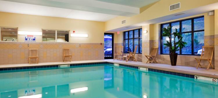 智选假日套房酒店哈里曼 by IHG(Holiday Inn Express & Suites Harriman by IHG)图片