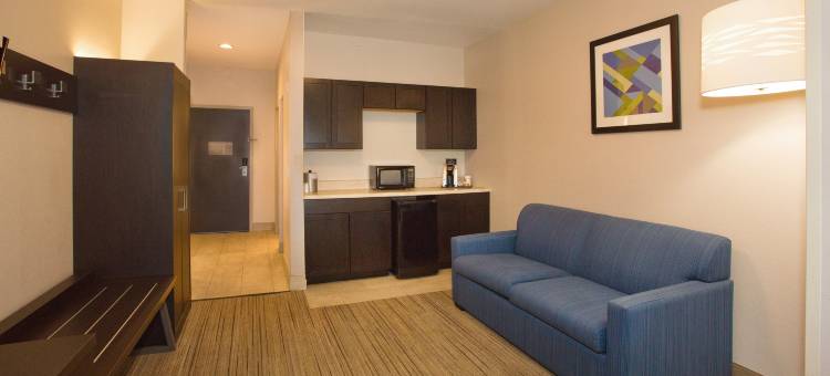 洲际酒店集团智选假日酒店及套房夏洛特港(Holiday Inn Express & Suites Port Charlotte, an IHG Hotel)图片