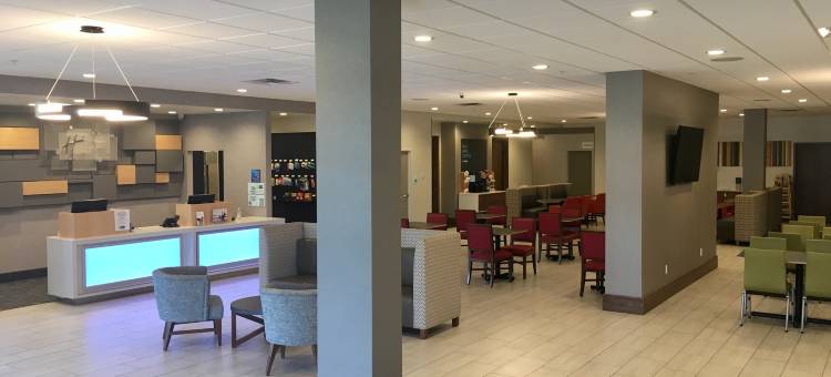 大岛 - 尼亚加拉瀑布智选假日酒店(Holiday Inn Express Grand Island - Niagara Falls)图片