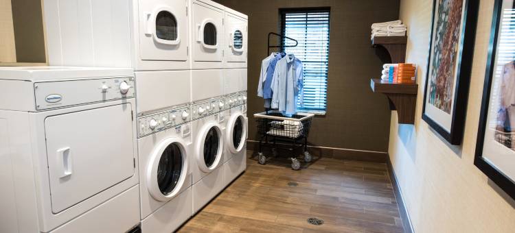 奥尔巴尼Wolf RD科勒尼中心商场Staybridge Suites(Staybridge Suites Albany Wolf RD-Colonie Center)图片