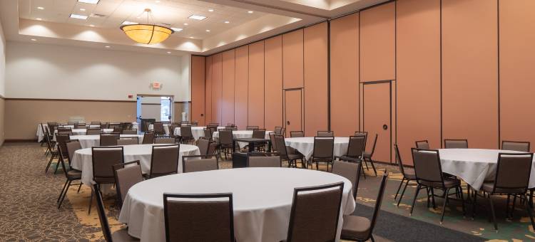 史蒂文斯角假日酒店 - 会议中心(Holiday Inn Stevens Point - Convention Ctr)图片