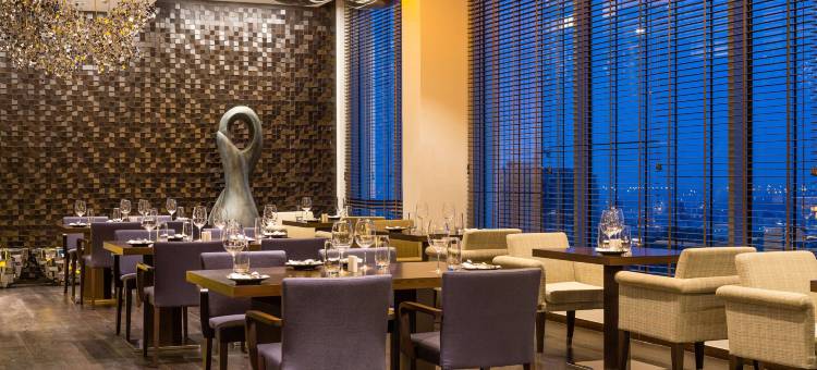 内罗毕上山区Radisson Blu酒店(Radisson Blu Hotel Nairobi, Upper Hill)图片