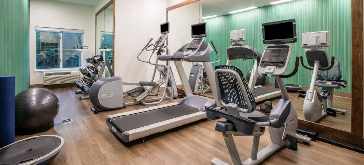 Holiday Inn Express & Suites Dallas - Grand Prairie I-20图片