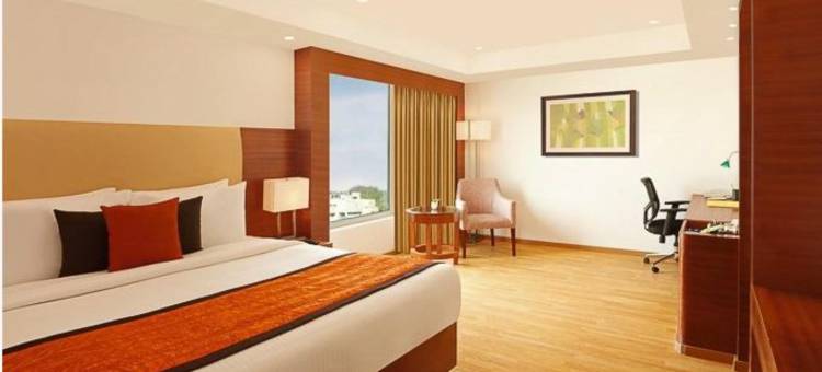 金奈施莫纳柠檬树酒店(Lemon Tree Hotel Shimona Chennai)图片