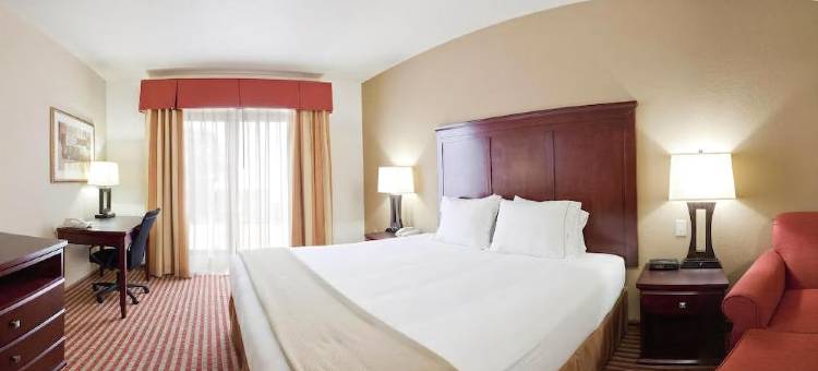 智选假日套房酒店阿马里洛南(Holiday Inn Express & Suites Amarillo South)图片
