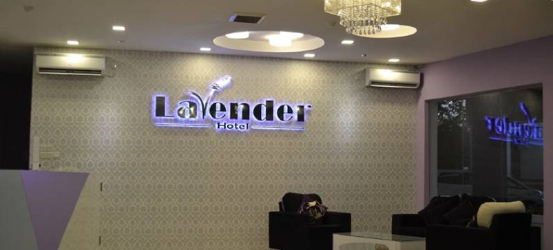 薰衣草酒店(Lavender Hotel)图片