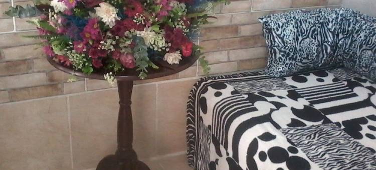 席尔瓦林肯卡洛斯旅馆(Meu Quarto No Rio de Janeiro)图片