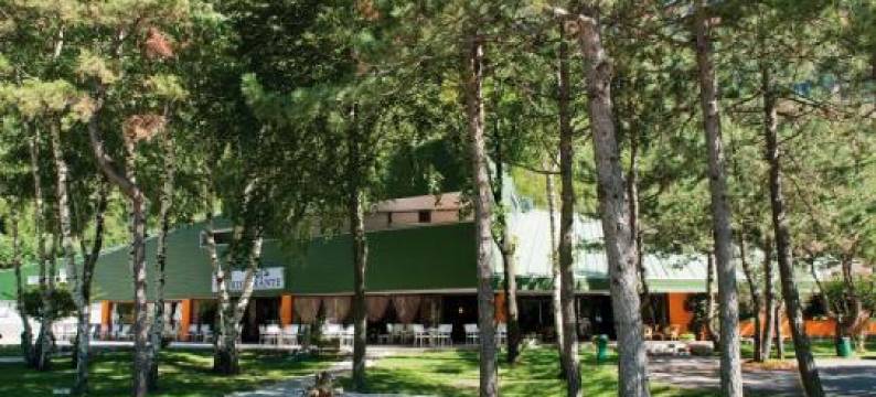 卡尔尼亚酒店(Hotel Carnia)图片