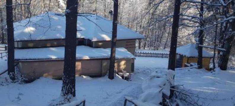 Villa Vanessa Koprivki Area图片