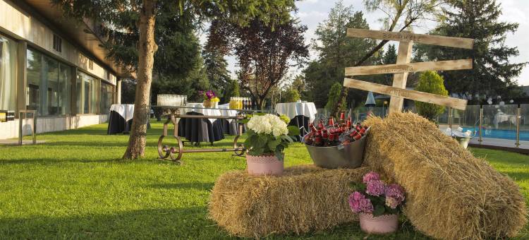 巴拉哈斯美利亚酒店(Melia Barajas)图片