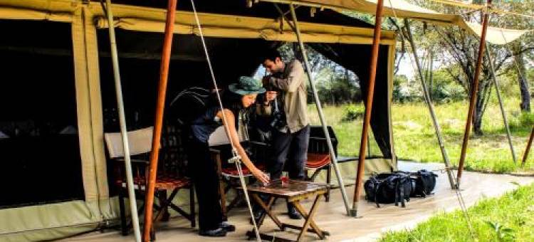 塞伦盖蒂萨凡纳帐篷营地(Serengeti Savannah Camps)图片