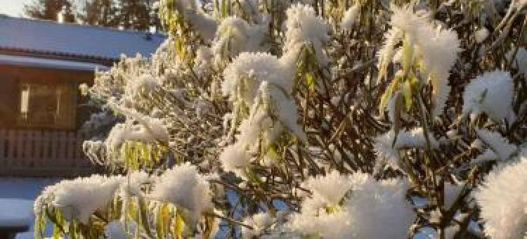 Sörmlandsidyll I härlig Natur图片