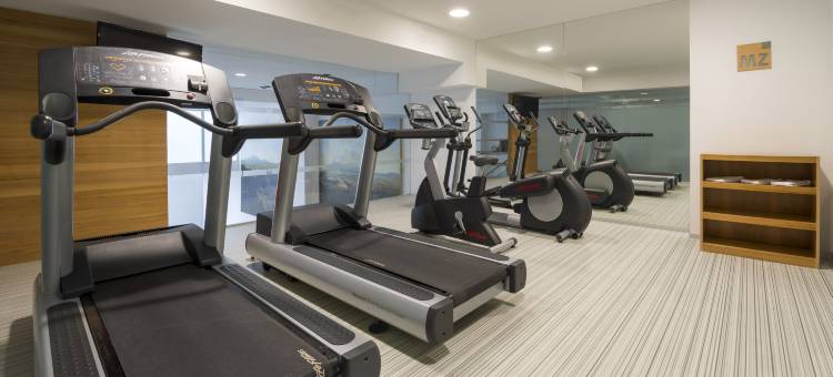 Camino Real Hotel & Suites Puebla图片
