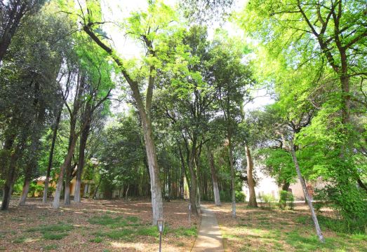 Montecorneo Hotel Overview
