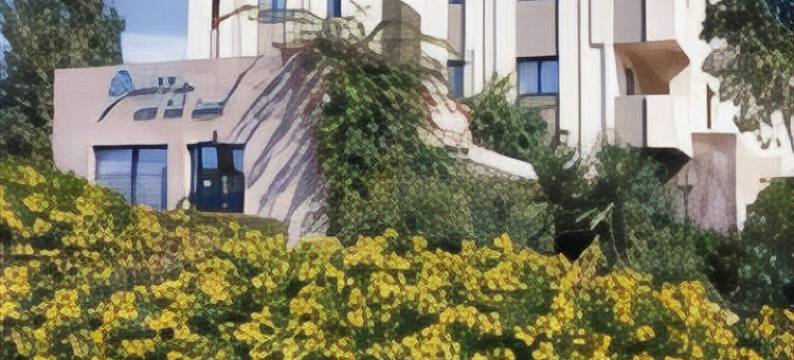 Lippia Calypso Resort图片