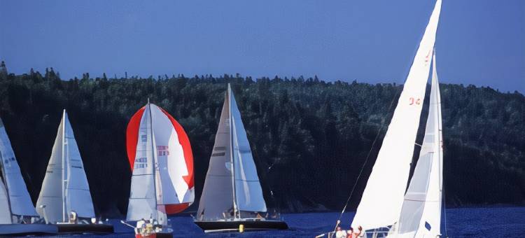 伍德斯托克贝斯特韦斯特优质酒店及会议中心(Best Western Plus Woodstock Hotel  Conference Centre)图片