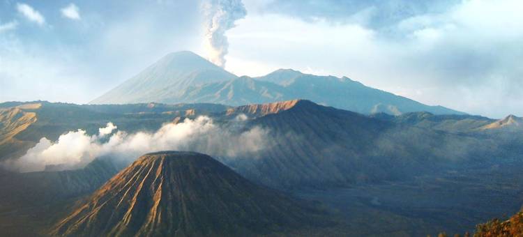 泗水喜来登酒店(Sheraton Surabaya Hotel & Towers)图片