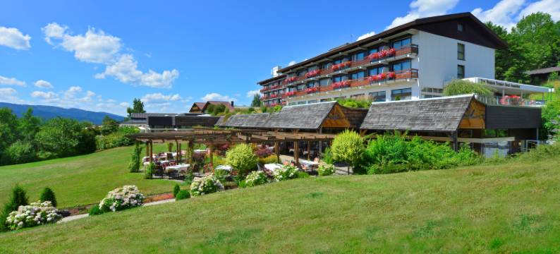 Hotel Sonnenhof Lam图片