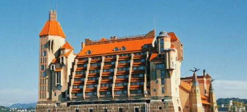 川久酒店(Hotel Kawakyu)图片