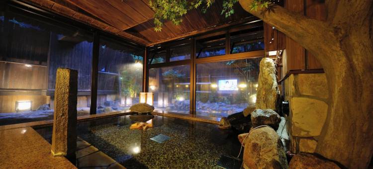 东京秋叶原多美迎酒店(多美迎・御宿野乃 酒店集团)(Dormy Inn Akihabara Hot Spring)图片