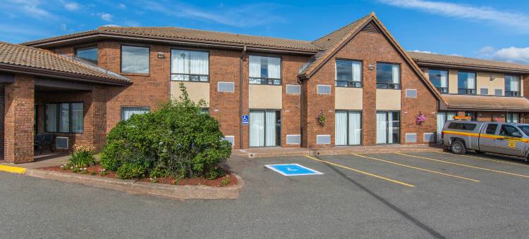 舒适酒店(Comfort Inn)图片