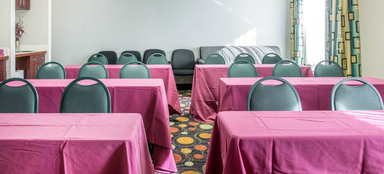 舒适套房酒店 - 托莱多 (I80-90)(Comfort Inn & Suites Maumee - Toledo I80-90)图片