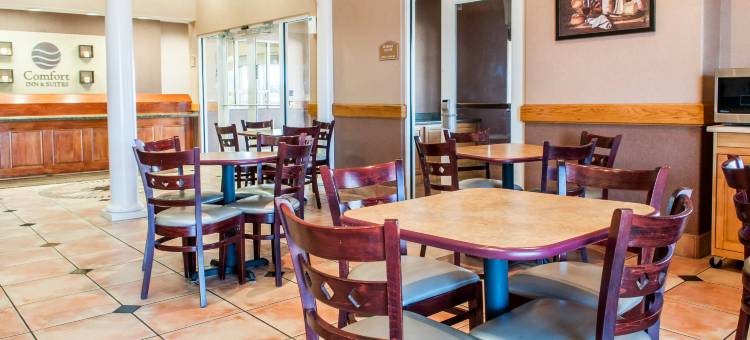 舒适套房酒店(Comfort Inn & Suites)图片