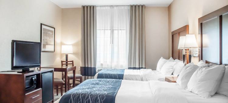 舒适酒店及套房-汉堡-南布法罗(Comfort Inn & Suites Hamburg - Buffalo South)图片