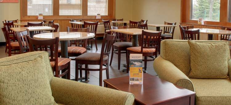 舒适酒店及套房锡拉丘兹-凯瑞尔圈(Comfort Inn & Suites Syracuse-Carrier Circle)图片